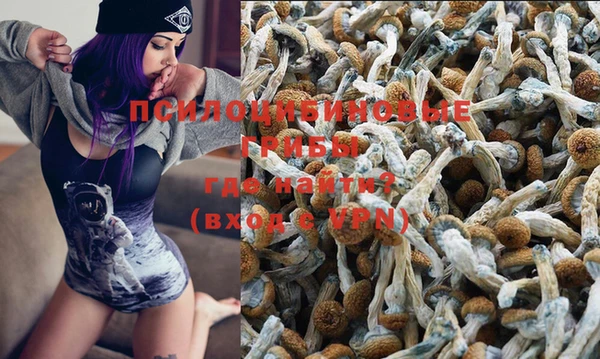 мяу мяу мука Арсеньев