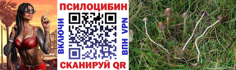 МЕГА рабочий сайт  Елец  Псилоцибиновые грибы Psilocybe 